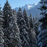 Alpencabin Montafon *