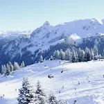 Alpencabin Montafon Lejlighed *