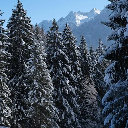 Alpencabin Montafon *