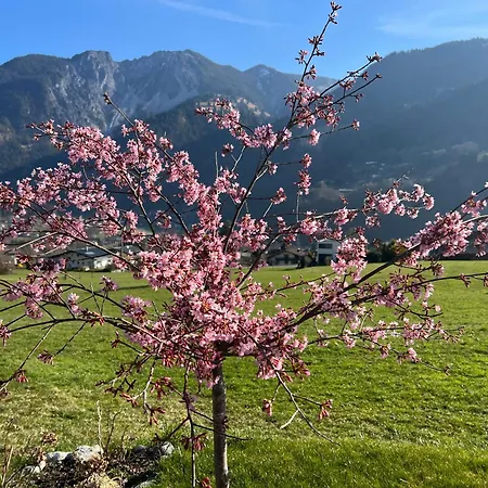 Alpencabin Montafon Apartment *